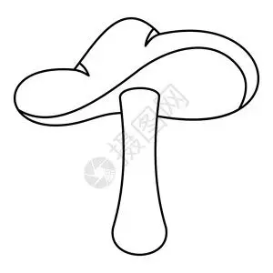 松茸蘑菇野山菌鲜蘑菇插画