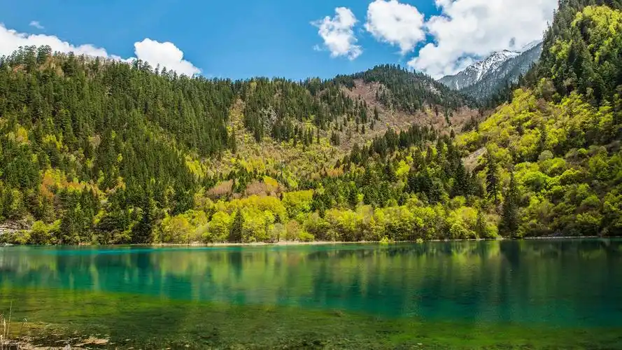 风光,水面,蓝天,树木,电脑壁纸,壁纸九寨沟优美自然风景