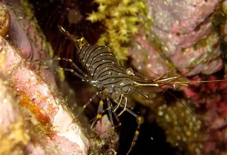 苏联既是咸海消亡的罪魁祸首吗?