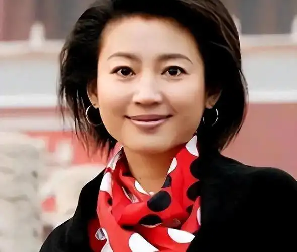 央视一姐王小丫:经历两段婚姻,膝下无儿无女,如今55岁热衷公益