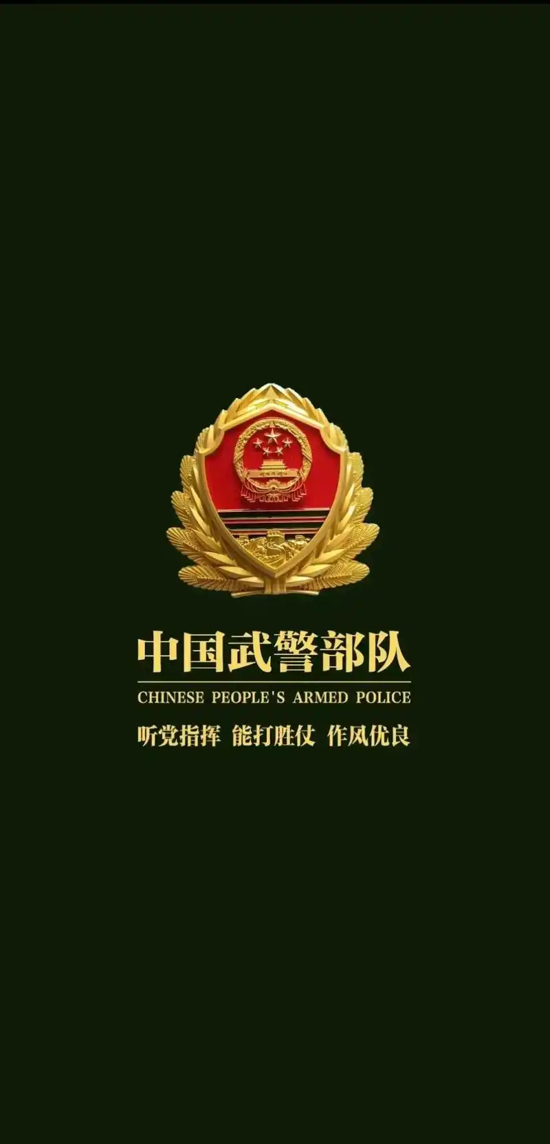 使命职责从未改变!#精美壁纸#武警 - 抖音