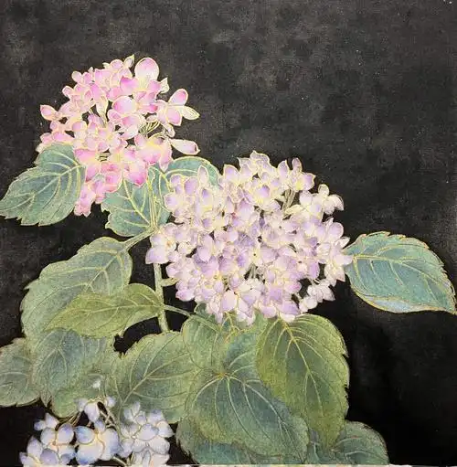 国画工笔绣球花77步骤