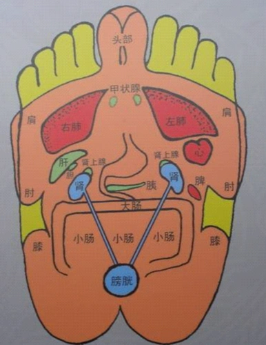 脚底穴道位置图