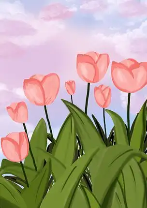 手绘插画简单郁金香