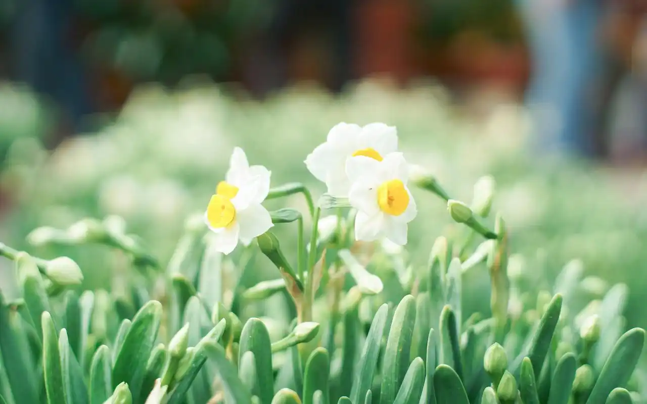 城市街道风景摄影高清桌面壁纸