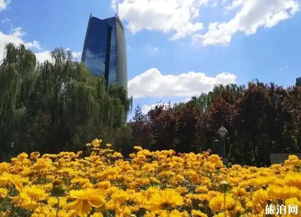 2020中关村西区精品街区公园开放了吗