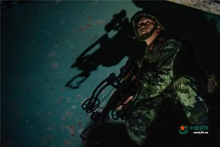 武警官兵夜间反恐演练,场面堪比大片! - 中国军网