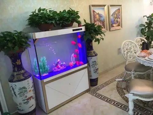 可丽爱鱼缸实景图