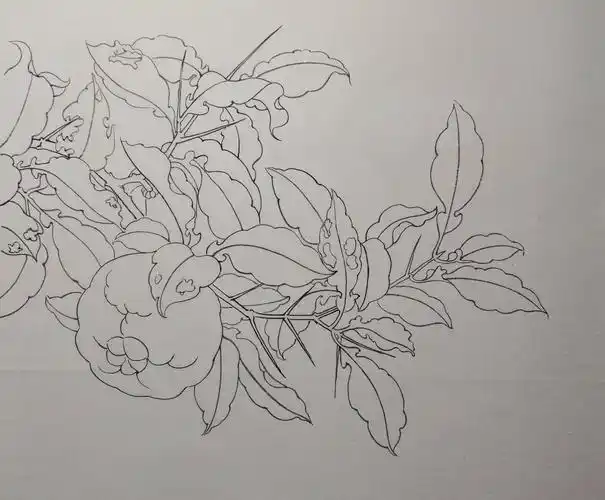 工笔小强最新临摹宋画白描勾线