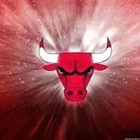 公牛队头像 nba球队公牛头像