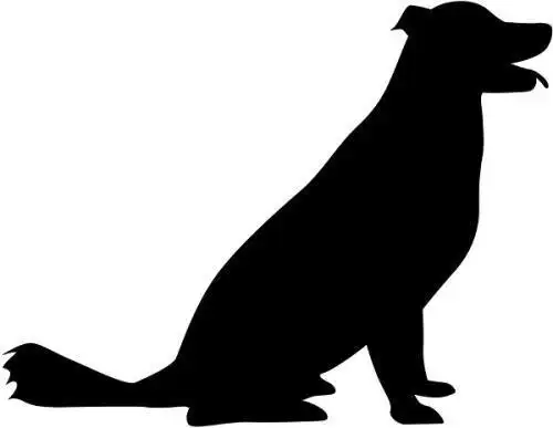 动物影子简笔画倒影画