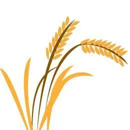 卡通手绘植物红色水稻插画