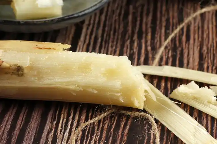 白玉甘蔗丨电商平台客户约拍丨飞鸟电商陈默