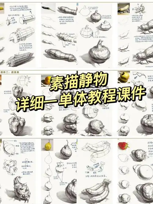 素描静物详细单体教程课件