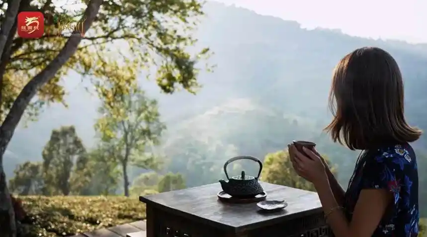 喝茶是一场修行,这11条看看你中了几条