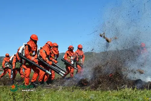 震撼大图带你去往武警森林部队"红红对比"现场