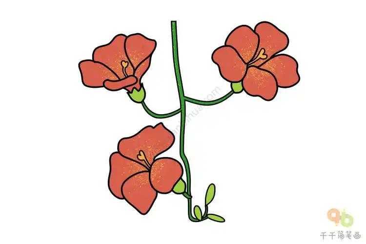 凌霄花简笔画步骤图