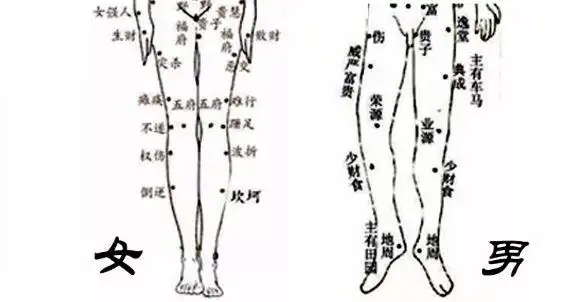 事业多不顺遂;右小腿下面的痣,为"暗箭痣",容易遭小人;左膝盖下方的痣