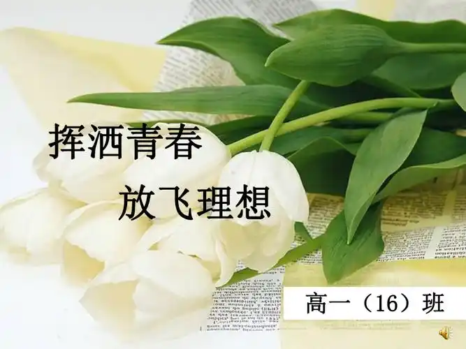 挥洒青春,放飞梦想主题班会课件.ppt_第1页