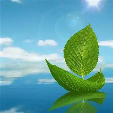 适合春天的头像图片高清适合春天微信头像合集