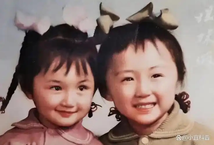 52岁杨钰莹的豪宅火了养花种菜与狗相伴一进屋就被治愈