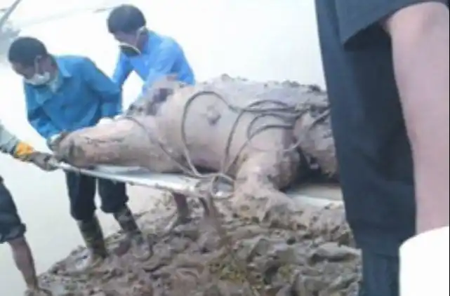 尸体脸蜡黄毫无血色胀得皮肉分离朋友看完说像烤猪头