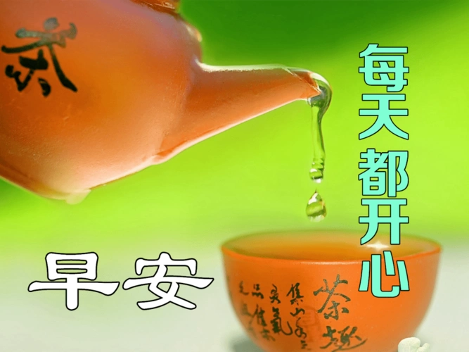 清晨问候大家早上好的漂亮鲜花图片,早上好温馨祝福语录图片