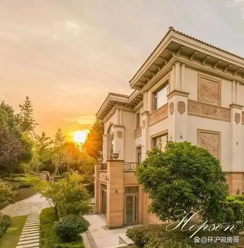 上海佘山东紫园别墅楼盘详情百度一下