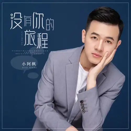 没有你的旅程_小阿枫_高音质在线试听_没有你的旅程歌词|歌曲下载