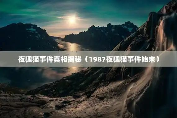 夜狸猫事件真相揭秘(1987夜狸猫事件始末)