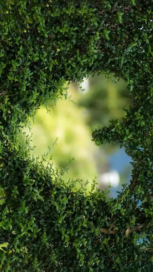 来一波"舒适养眼"的绿色养眼的壁纸,让你放松下吧～,绿色养眼的壁纸