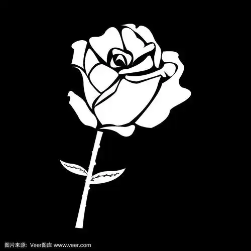 黑色玫瑰剪影