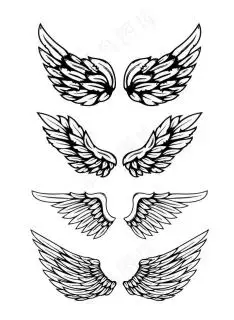 翅膀logo图片eps,ai矢量模版下载 - 菜鸟图库