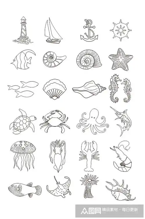 简易海洋生物简笔画