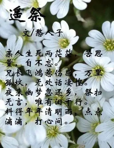 沉痛悼念我的姑姑