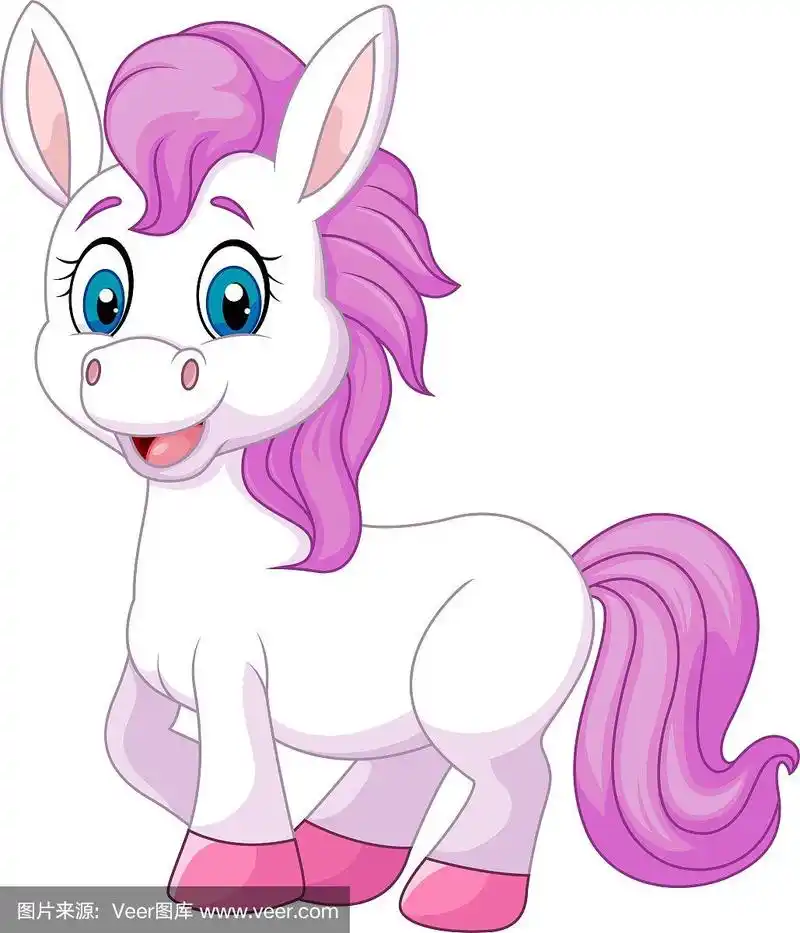 可爱的小马驹摆出孤立的姿势