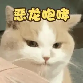 猫咪斗恶龙游戏画面可爱能量猫咪gif动图_动态图_表情包下载_soogif