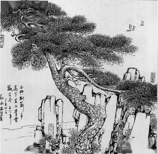 线描松树图谱选页欣赏下