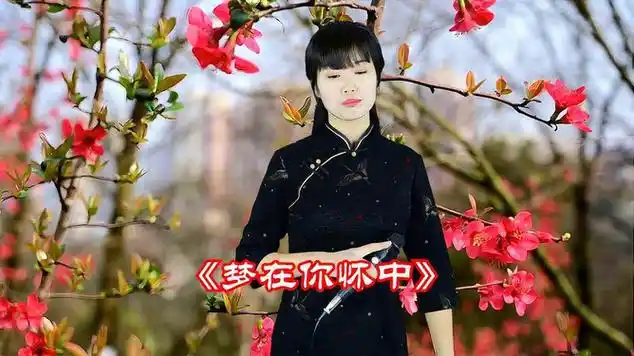 一首《梦在你怀中》原唱:龙飘飘,经典老歌越听越喜欢|民谣|国语歌曲