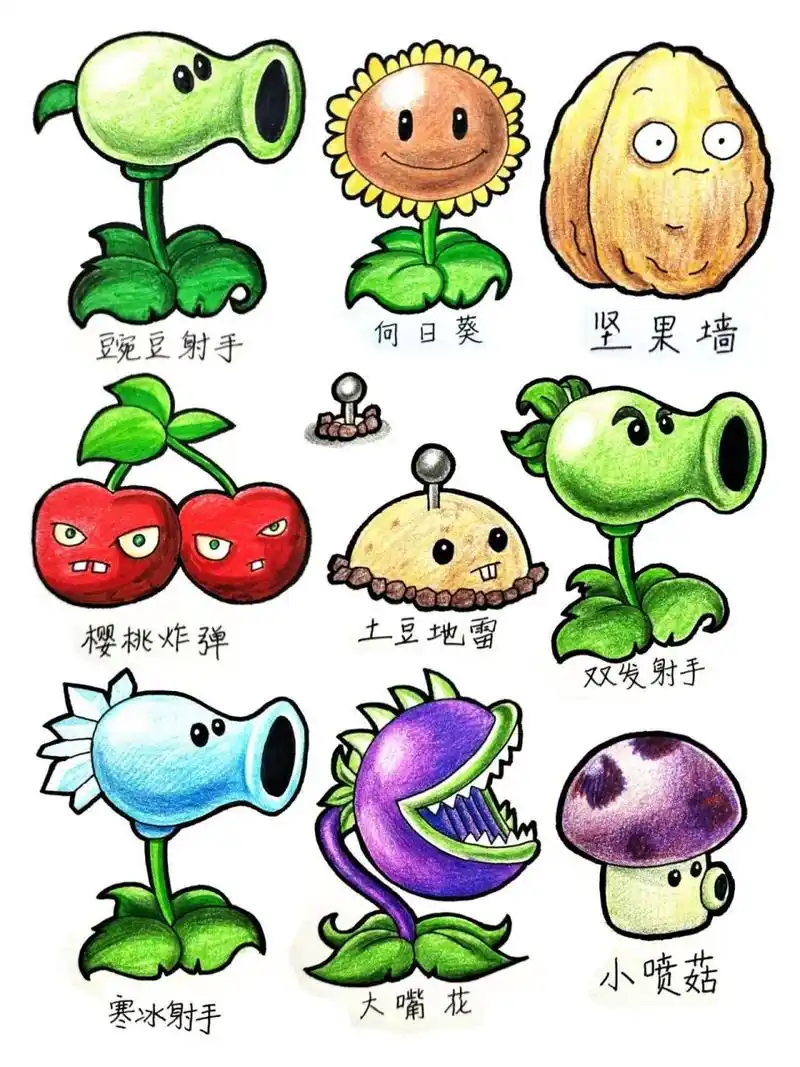 植物大战僵尸怎么画简笔画