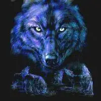 血狼图片霸气图大图_微信头像图片大全