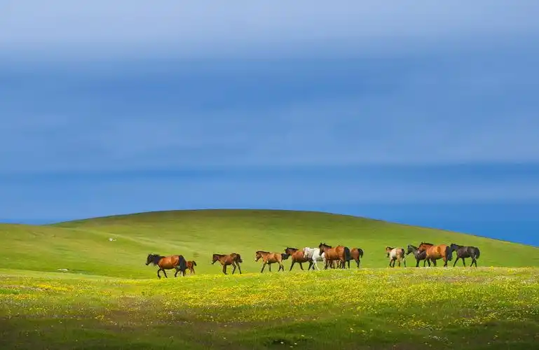 【如画新疆之四:喀拉峻摄影图片】新疆伊犁喀拉峻草原风光摄影_吴海强