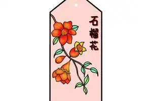 石榴花简笔画怎么画
