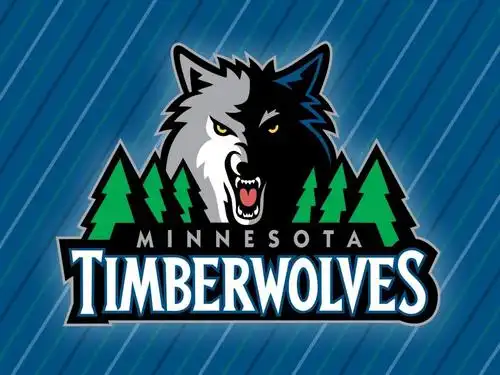 明尼苏达森林狼壁纸高清原图查看