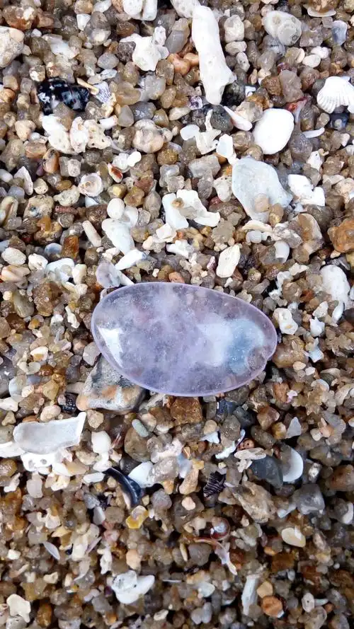 粉紫色透明石头值钱吗?海边捡到的