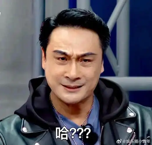 吴镇宇在节目里,简直就是行走的表情包,别太丰富了我说