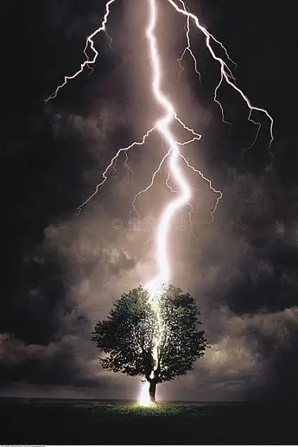 闪电,惊人,树