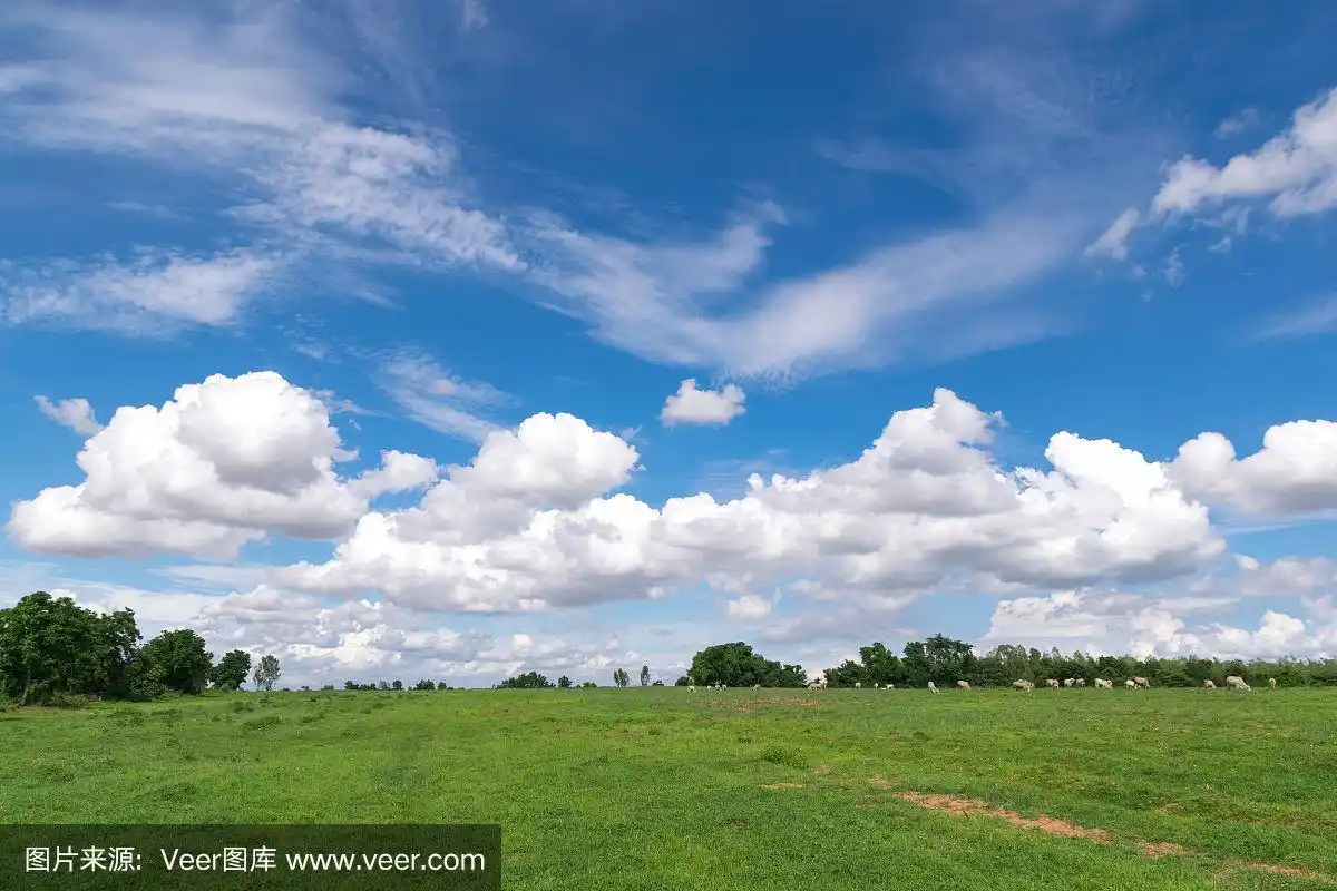 蓝天白云,绿地景观