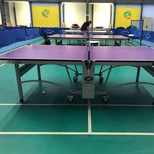 银河乒乓球桌家用y1101可折叠折叠式训练国际比赛标准乒乓底板