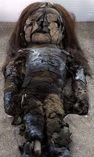 智利展出7千多年前的胎儿和婴儿木乃伊